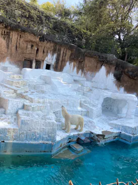 天王寺動物園に投稿された画像（2022/4/10）