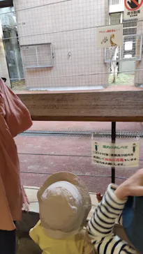 天王寺動物園に投稿された画像（2022/4/10）