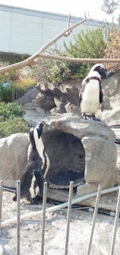 サンシャイン水族館に投稿された画像（2022/4/10）