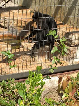 天王寺動物園に投稿された画像（2022/4/10）