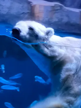 横浜・八景島シーパラダイスに投稿された画像（2022/4/10）