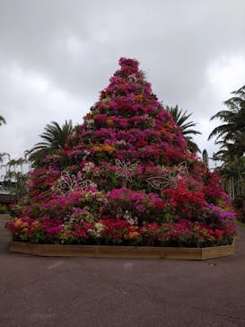 美らヤシパークオキナワ・東南植物楽園に投稿された画像（2022/4/10）