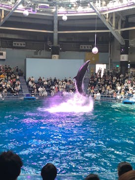 マクセル アクアパーク品川に投稿された画像（2022/4/10）