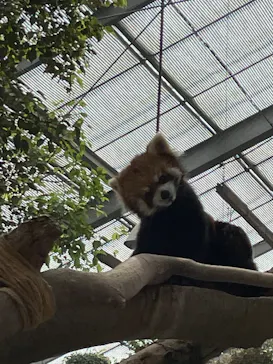 神戸どうぶつ王国に投稿された画像（2022/4/10）