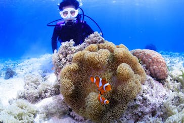 EARTH-LENS（アースレンズ）に投稿された画像（2022/4/10）