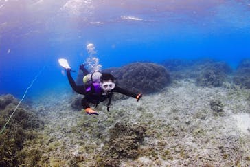 EARTH-LENS（アースレンズ）に投稿された画像（2022/4/10）