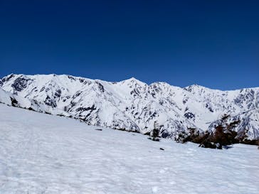 白馬八方尾根スキー場に投稿された画像（2022/4/10）