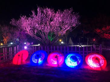 せんだい農業園芸センター　みどりの杜に投稿された画像（2022/4/10）