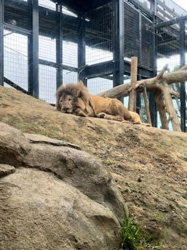 沖縄こどもの国に投稿された画像（2022/4/10）