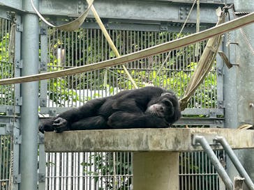 沖縄こどもの国に投稿された画像（2022/4/10）
