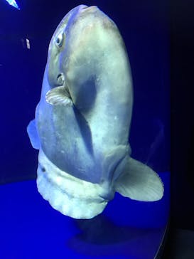 サンシャイン水族館に投稿された画像（2022/4/10）