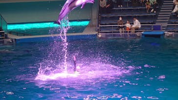 マクセル アクアパーク品川に投稿された画像（2022/4/10）