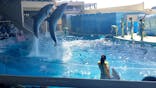 新江ノ島水族館に投稿された画像（2022/4/10）