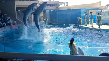 新江ノ島水族館に投稿された画像（2022/4/10）