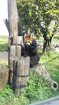 天王寺動物園に投稿された画像（2022/4/10）