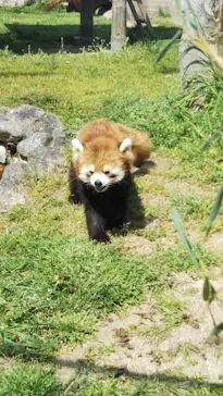 天王寺動物園に投稿された画像（2022/4/10）