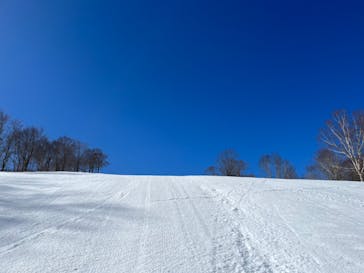 Hakuba47ウィンタースポーツパークに投稿された画像（2022/4/10）