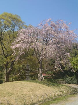 三溪園に投稿された画像（2022/4/10）