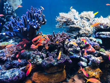 サンシャイン水族館に投稿された画像（2022/4/10）