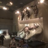 国立科学博物館に投稿された画像（2022/4/10）