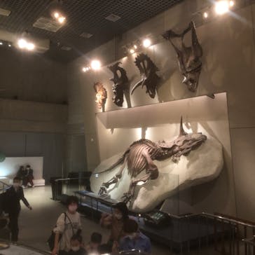 国立科学博物館に投稿された画像（2022/4/10）