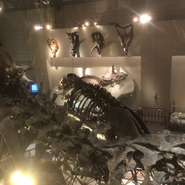 国立科学博物館に投稿された画像（2022/4/10）