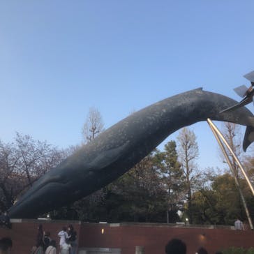 国立科学博物館に投稿された画像（2022/4/10）