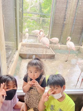 ネオパークオキナワに投稿された画像（2022/4/10）