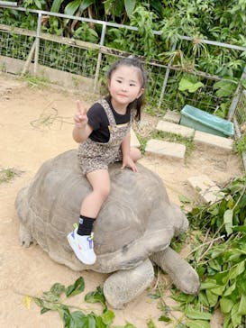 ネオパークオキナワに投稿された画像（2022/4/10）