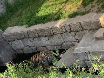 天王寺動物園に投稿された画像（2022/4/10）