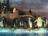 名古屋港水族館に投稿された画像（2022/4/10）