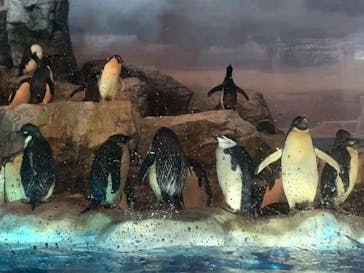 名古屋港水族館に投稿された画像（2022/4/10）