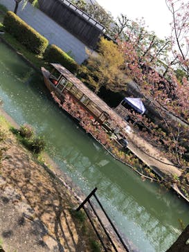 京阪電車に投稿された画像（2022/4/10）