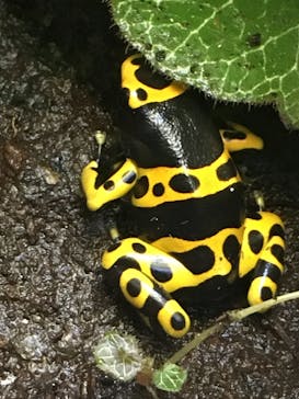 サンシャイン水族館に投稿された画像（2022/4/10）