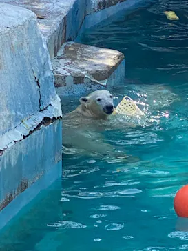 天王寺動物園に投稿された画像（2022/4/10）