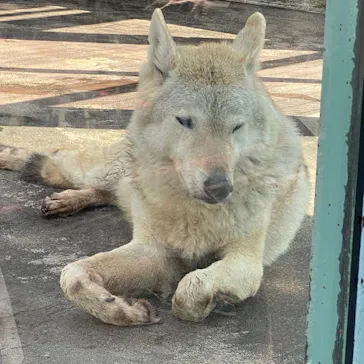 天王寺動物園に投稿された画像（2022/4/10）