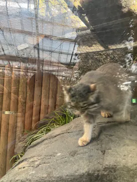 神戸どうぶつ王国に投稿された画像（2022/4/10）