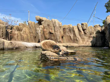 神戸どうぶつ王国に投稿された画像（2022/4/10）