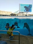 名古屋港水族館に投稿された画像（2022/4/10）