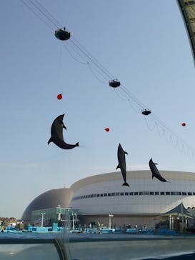 名古屋港水族館に投稿された画像（2022/4/10）