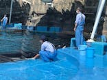 名古屋港水族館に投稿された画像（2022/4/10）