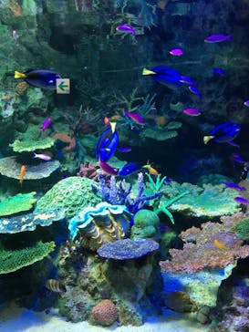 サンシャイン水族館に投稿された画像（2022/4/10）