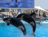 名古屋港水族館に投稿された画像（2022/4/10）