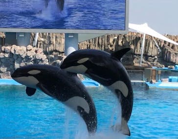 名古屋港水族館に投稿された画像（2022/4/10）