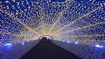 東京メガイルミに投稿された画像（2022/4/10）