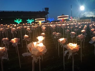 東京メガイルミに投稿された画像（2022/4/10）