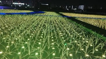 東京メガイルミに投稿された画像（2022/4/10）