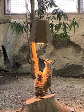 那須どうぶつ王国に投稿された画像（2022/4/10）