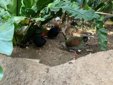 神戸どうぶつ王国に投稿された画像（2022/4/10）