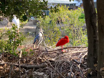 神戸どうぶつ王国に投稿された画像（2022/4/10）
